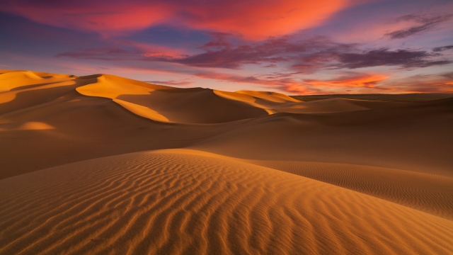 Unveiling the Mystique: Exploring the Enigmatic Sahara Desert