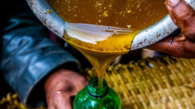 Harnessing the Sweet Sting: The Enchanting World of Mad Honey