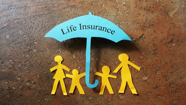 Exploring the Safety Net: Behind the Scenes of Workers’ Compensation Insurance