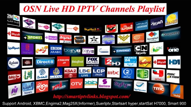 The Ultimate Guide to Choosing the Perfect IPTV Service