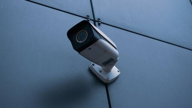 The Ultimate Guide to Buying Wholesale Security Cameras for Maximum Surveillance