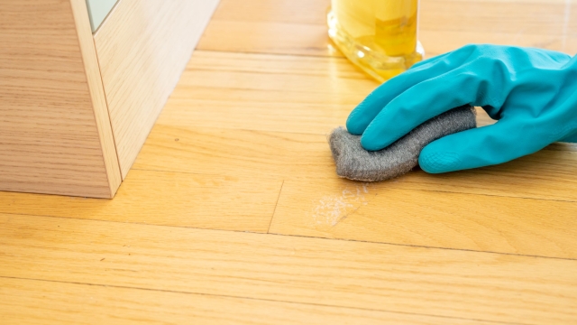 Revitalize Your Space: The Ultimate Guide to Cleaning Services That Spark Joy