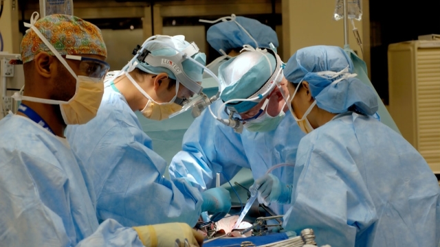 Understanding Cataracts Causes and Symptoms Insights