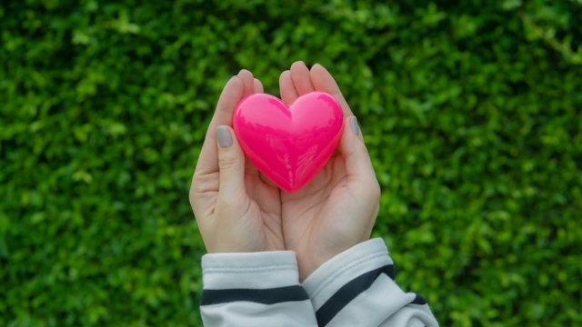 Understanding Intuitive Wisdom Definition and Origins