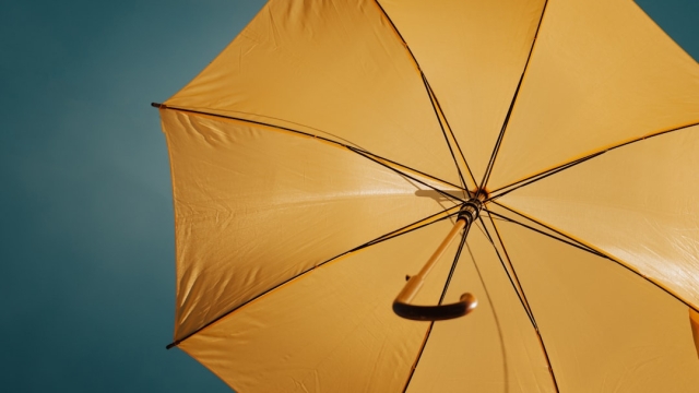 Overview of Business Insurance Types in Arizona