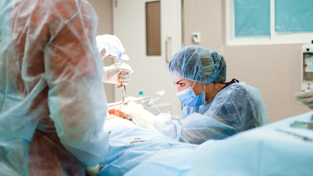 Overview of Gastroenterology and Its Importance